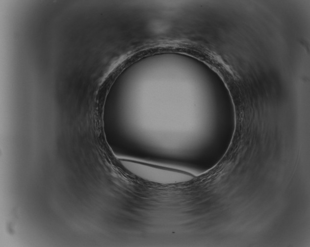 X0000094921256200711291014