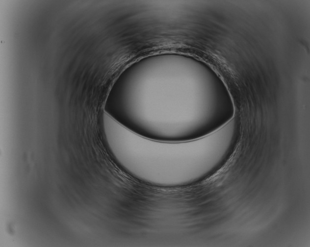 X0000094921257200711291014