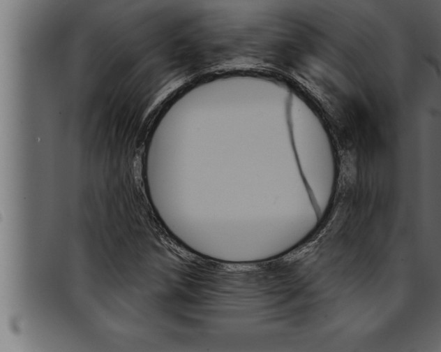 X0000094921258200711291014