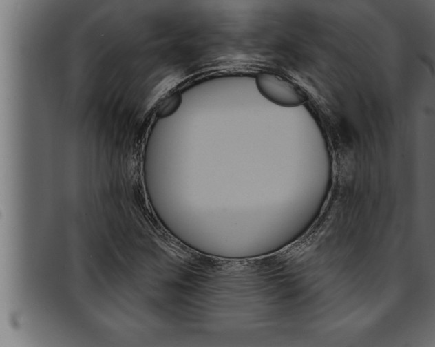 X0000094921259200711291014