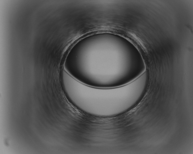 X0000094921260200711291014