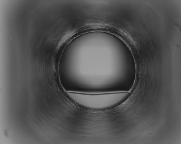 X0000094921261200711291014