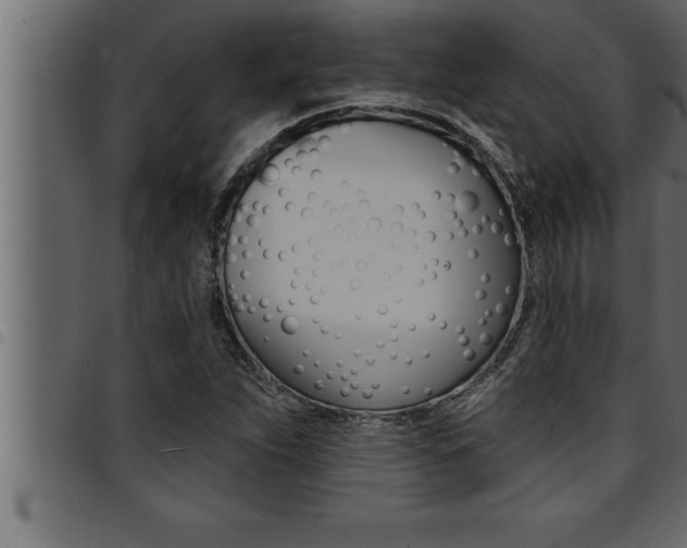 X0000094921263200711291014