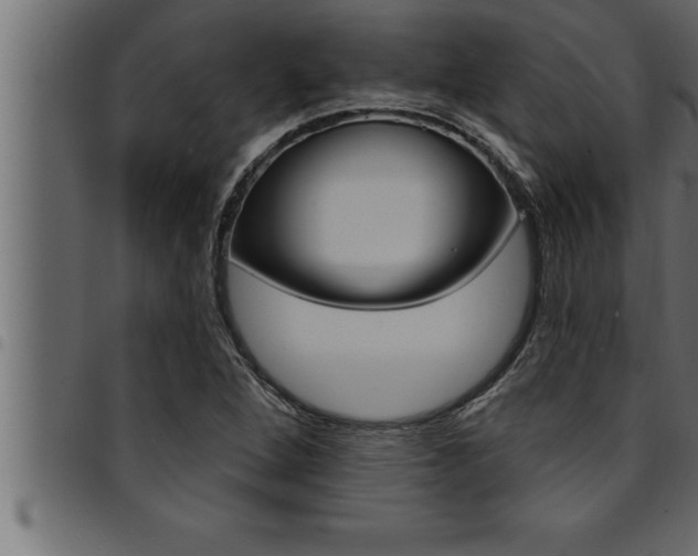 X0000094921264200711291014