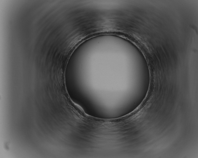 X0000094921265200711291014