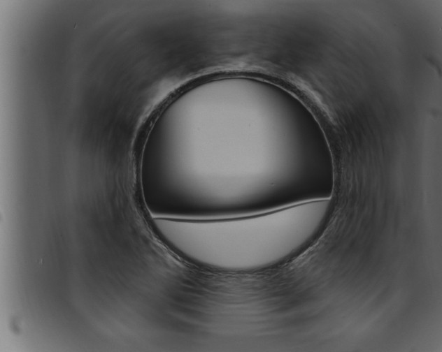 X0000094921270200711291014