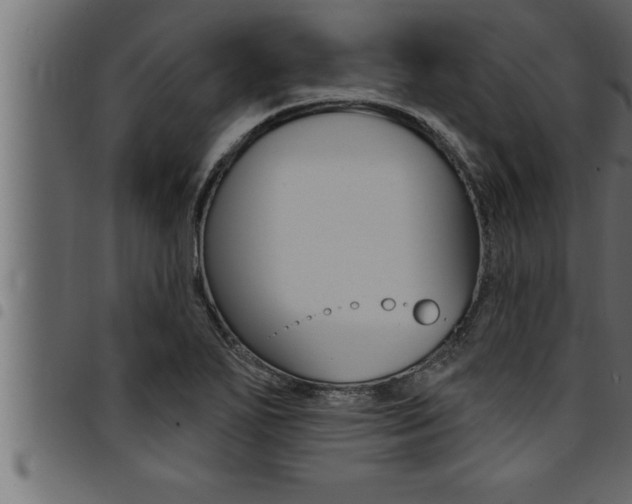 X0000094921271200711291014