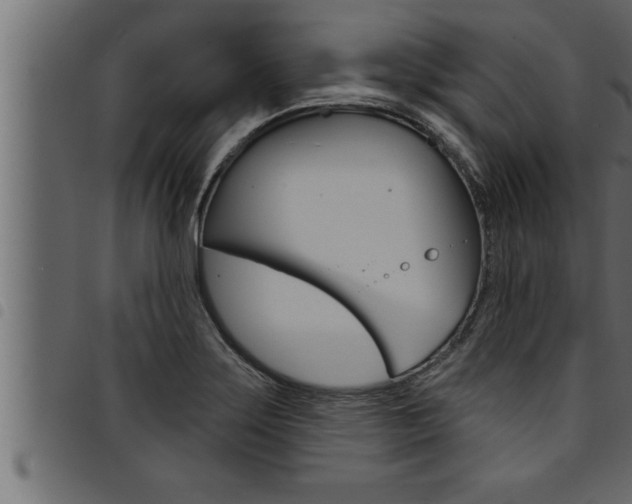 X0000094921275200711291014