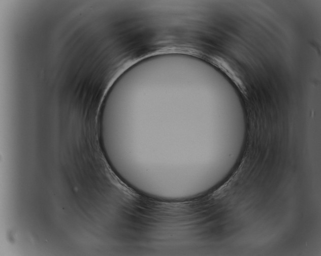 X0000094921276200711291014