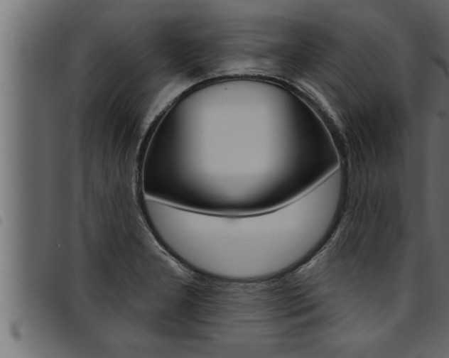 X0000094921277200711291014