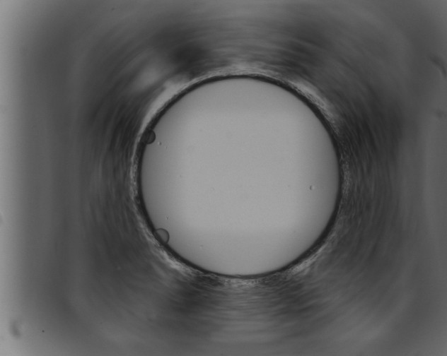X0000094921278200711291014