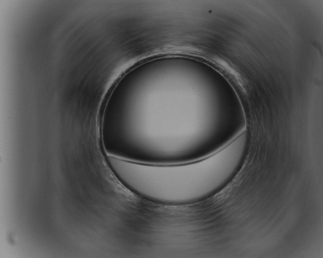 X0000094921280200711291014