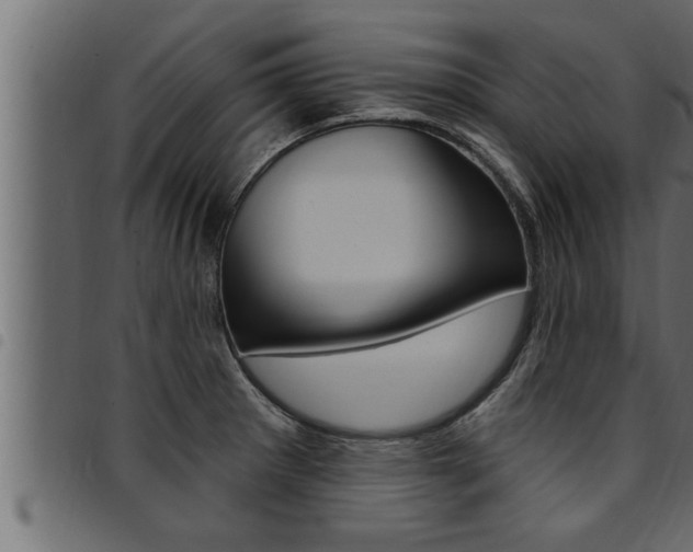 X0000094921281200711291014