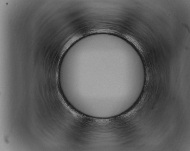 X0000094921282200711291014