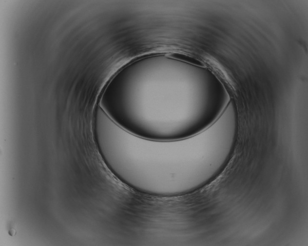 X0000094921284200711291014