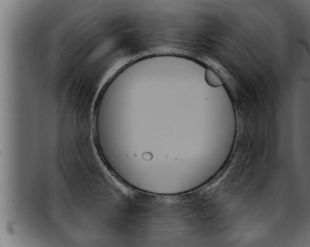 X0000094921286200711291014