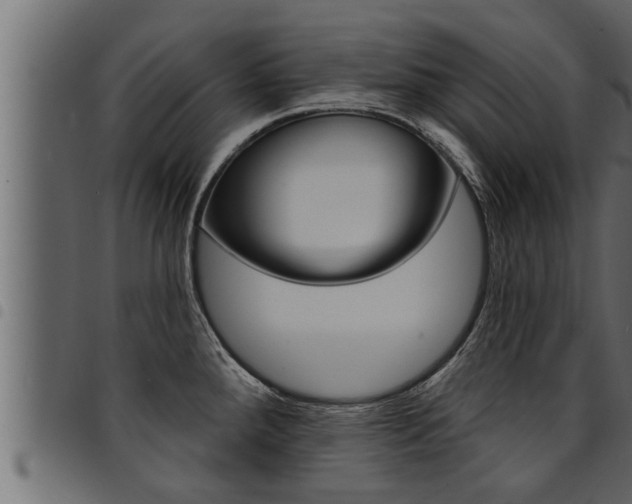 X0000094921288200711291014