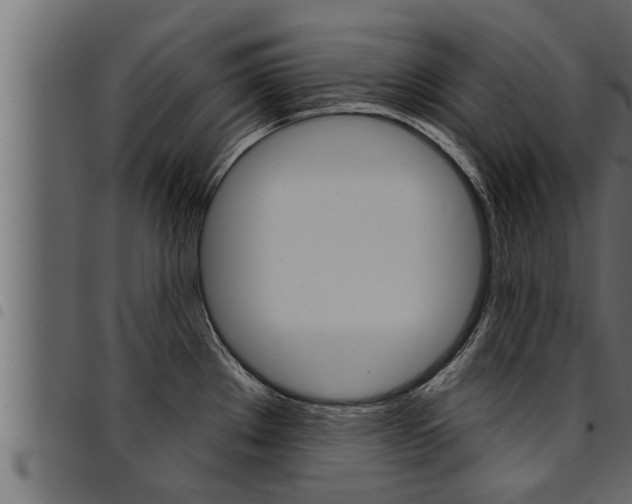 X0000094921289200711291014