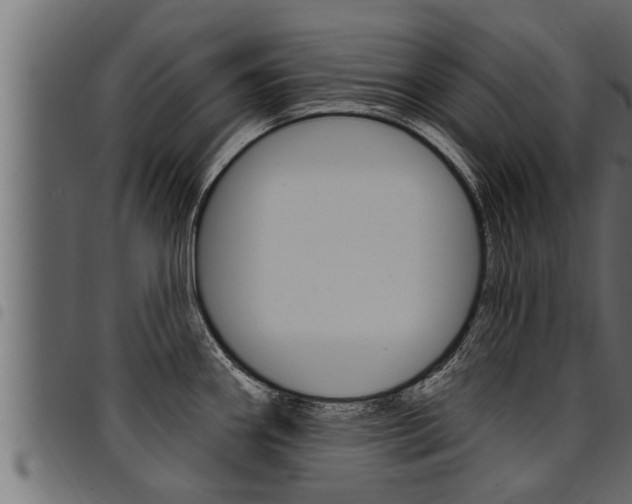 X0000094921290200711291014