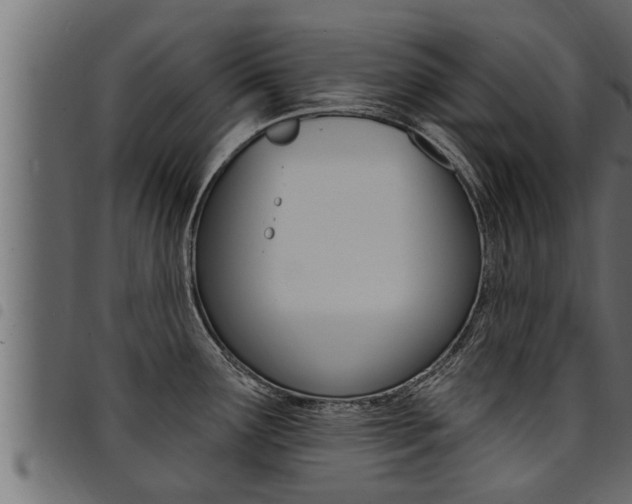 X0000094921291200711291014