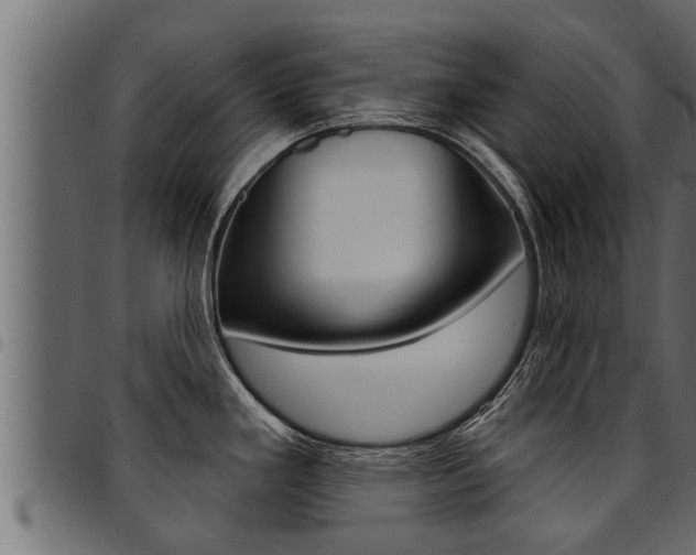 X0000094921293200711291014