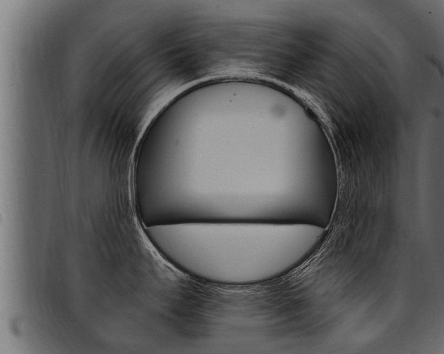 X0000094921295200711291014