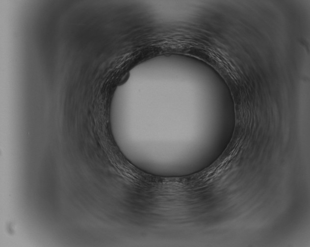 X0000094921297200711291013