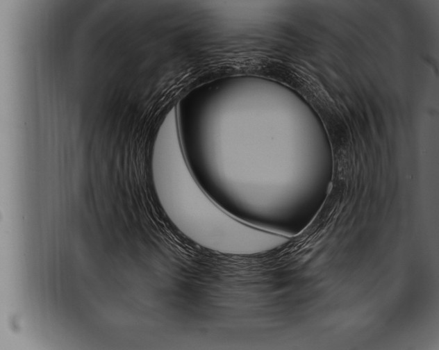 X0000094921298200711291013