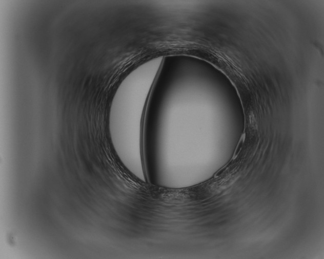 X0000094921300200711291013