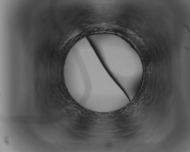 X0000094921302200711291013