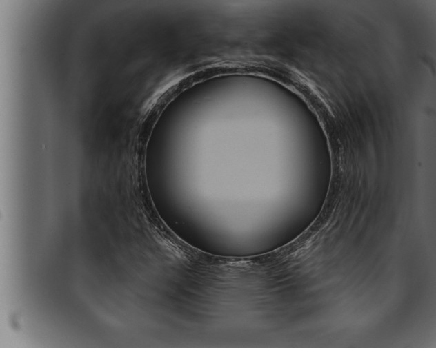 X0000094921304200711291013