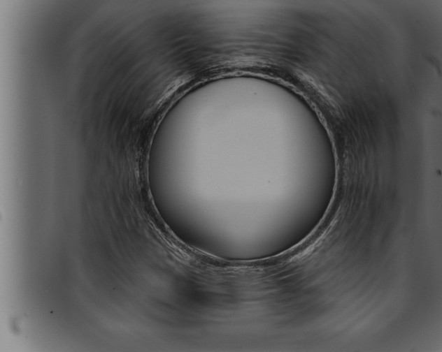 X0000094921305200711291013