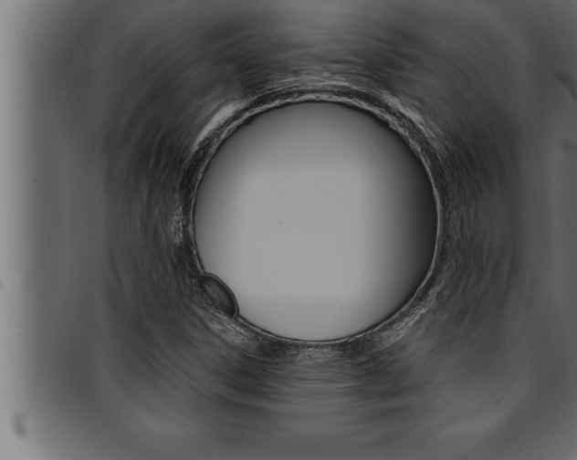 X0000094921306200711291013