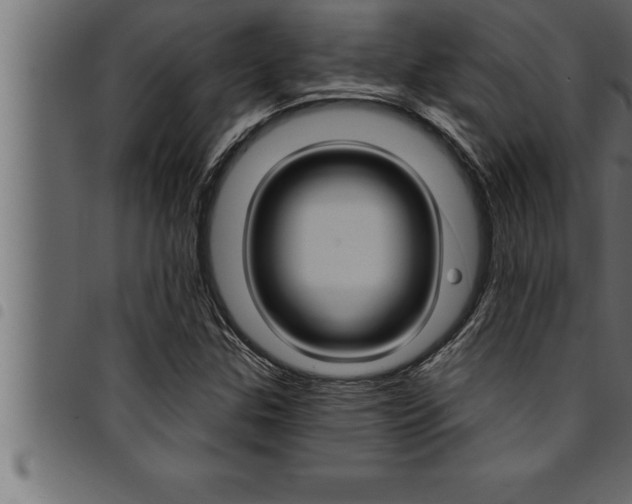 X0000094921307200711291013