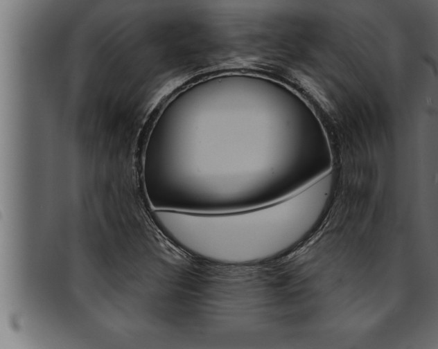 X0000094921308200711291013