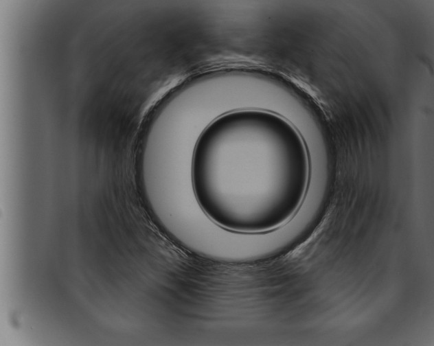 X0000094921309200711291013