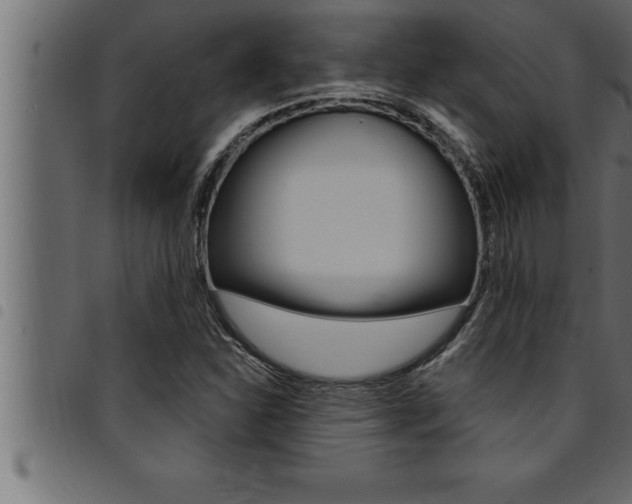 X0000094921310200711291013