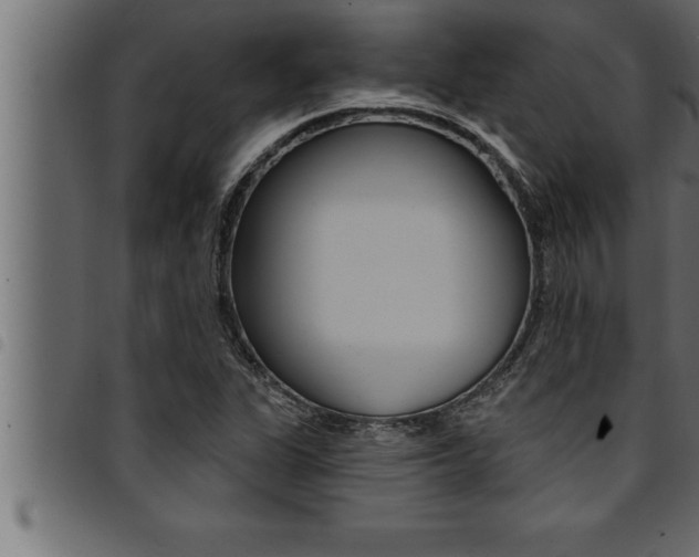 X0000094921311200711291013