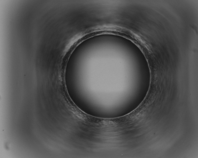 X0000094921312200711291013