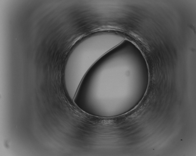 X0000094921313200711291013