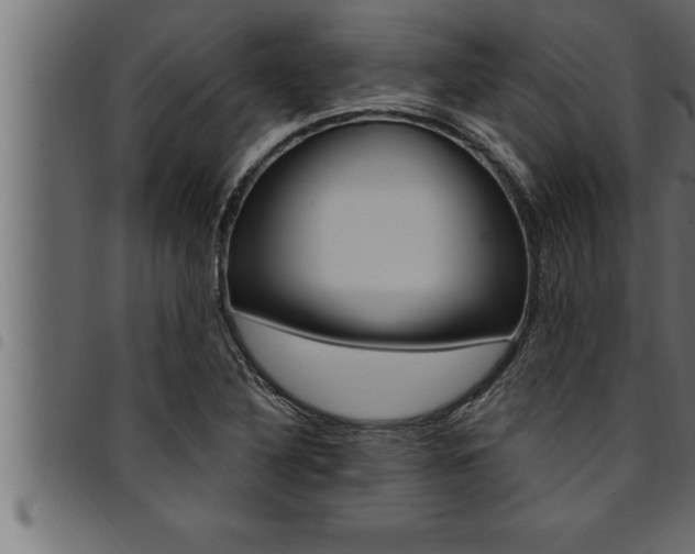 X0000094921316200711291013