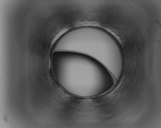 X0000094921317200711291013