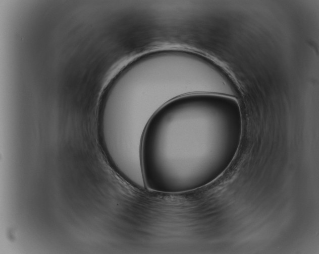 X0000094921319200711291013
