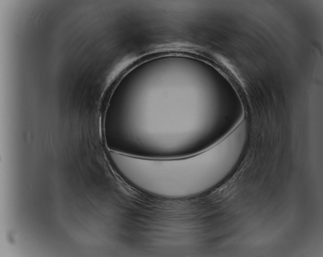 X0000094921320200711291013