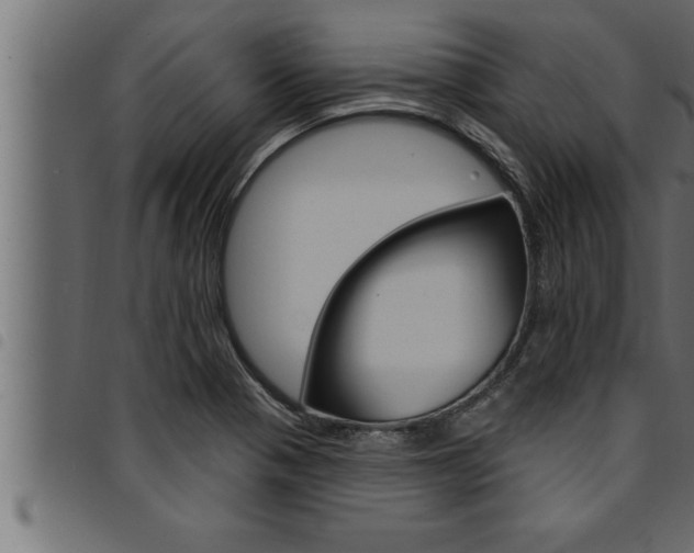 X0000094921321200711291013