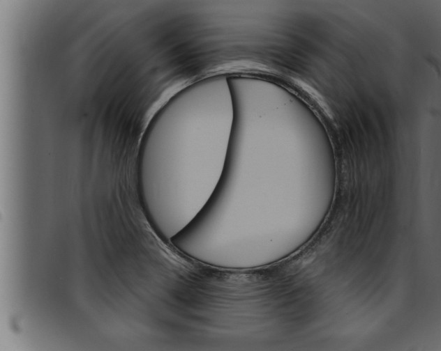 X0000094921322200711291013