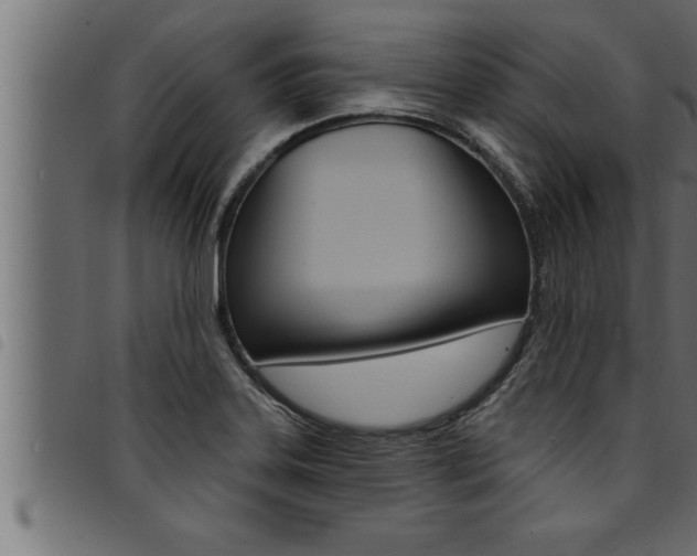 X0000094921323200711291013