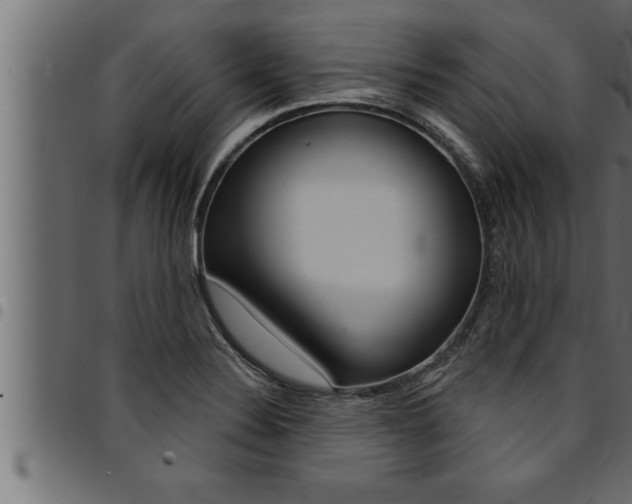 X0000094921324200711291013