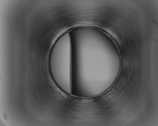 X0000094921325200711291013