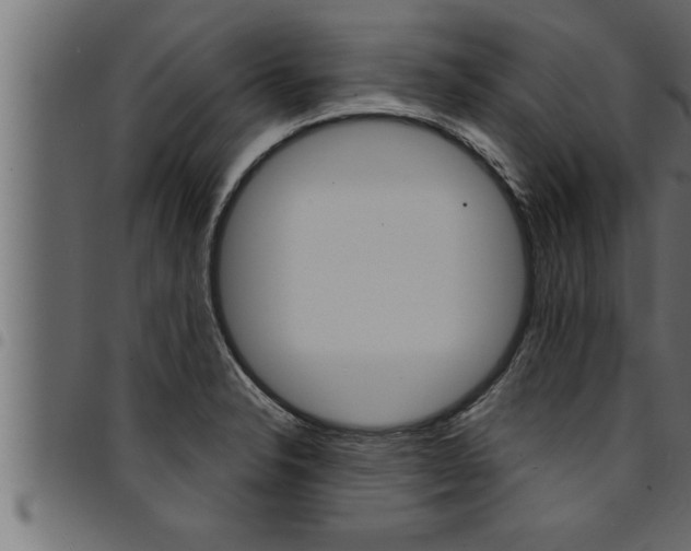 X0000094921326200711291013